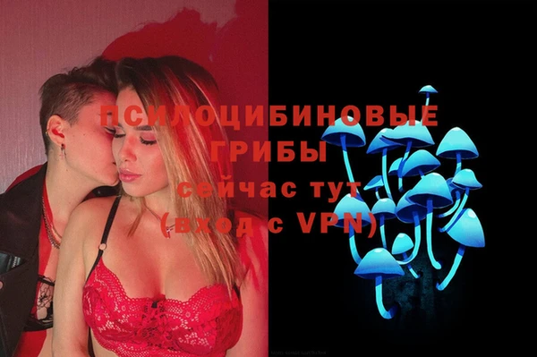 винт Алексеевка