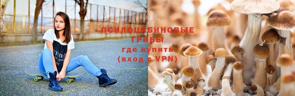 винт Алексеевка